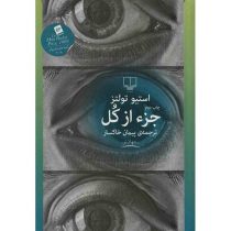 کتاب جزء از کل اثر استیو تولتز